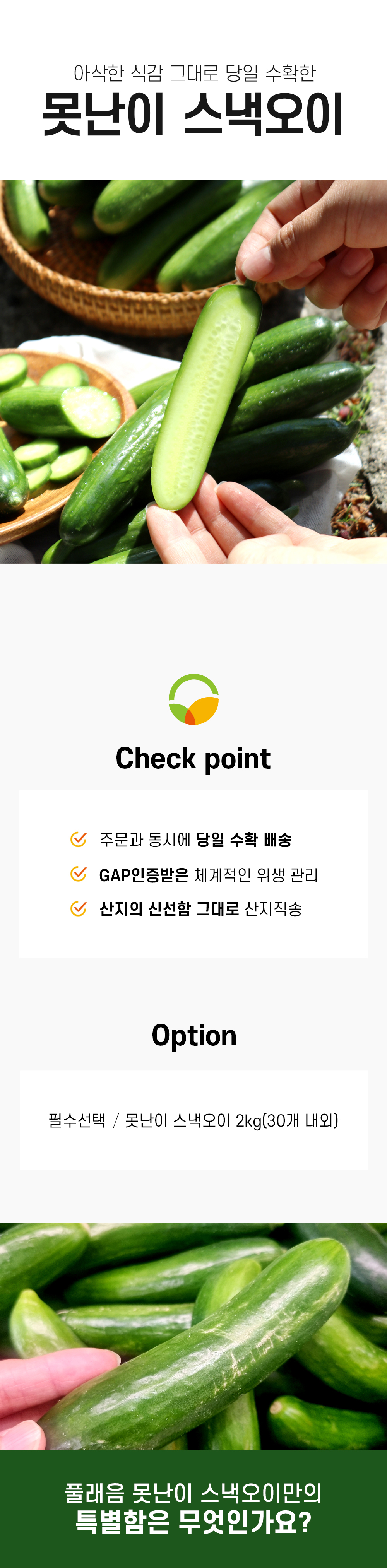 editor이미지