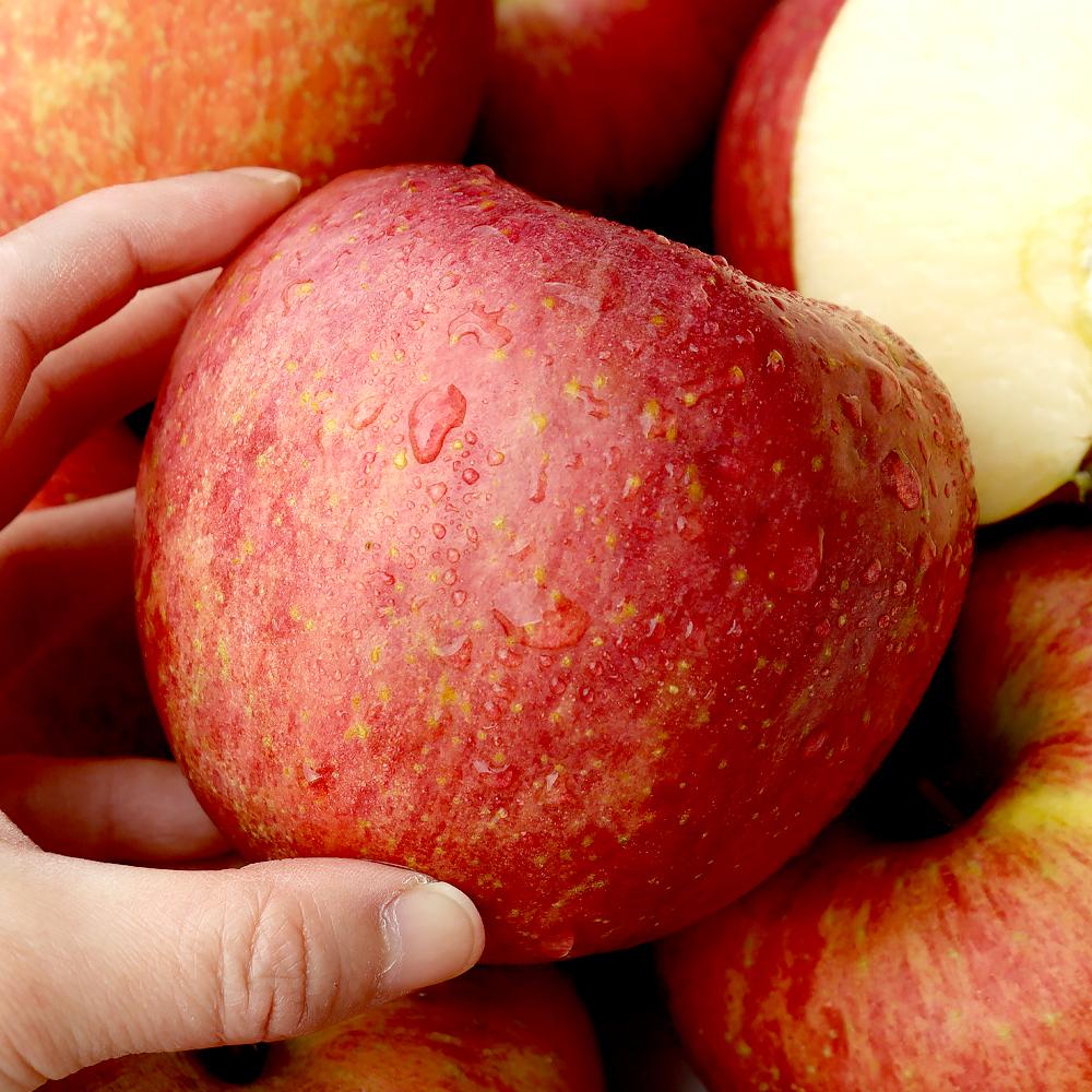 [보람농원] 껍질채먹는 사과 로얄부사 10kg_1