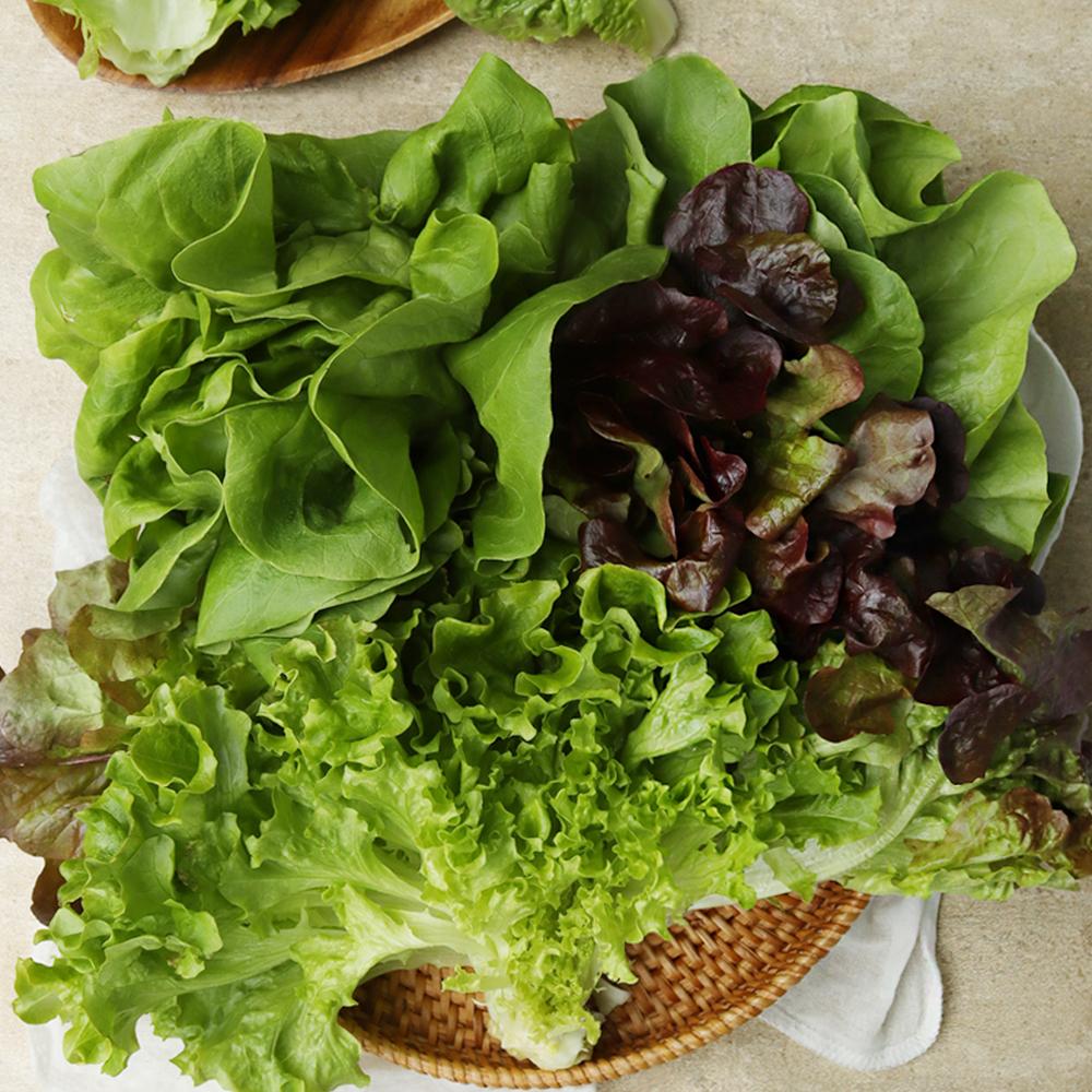 [풀래음] GAP 유럽 샐러드용 쌈채소 2kg(5-6종 랜덤)