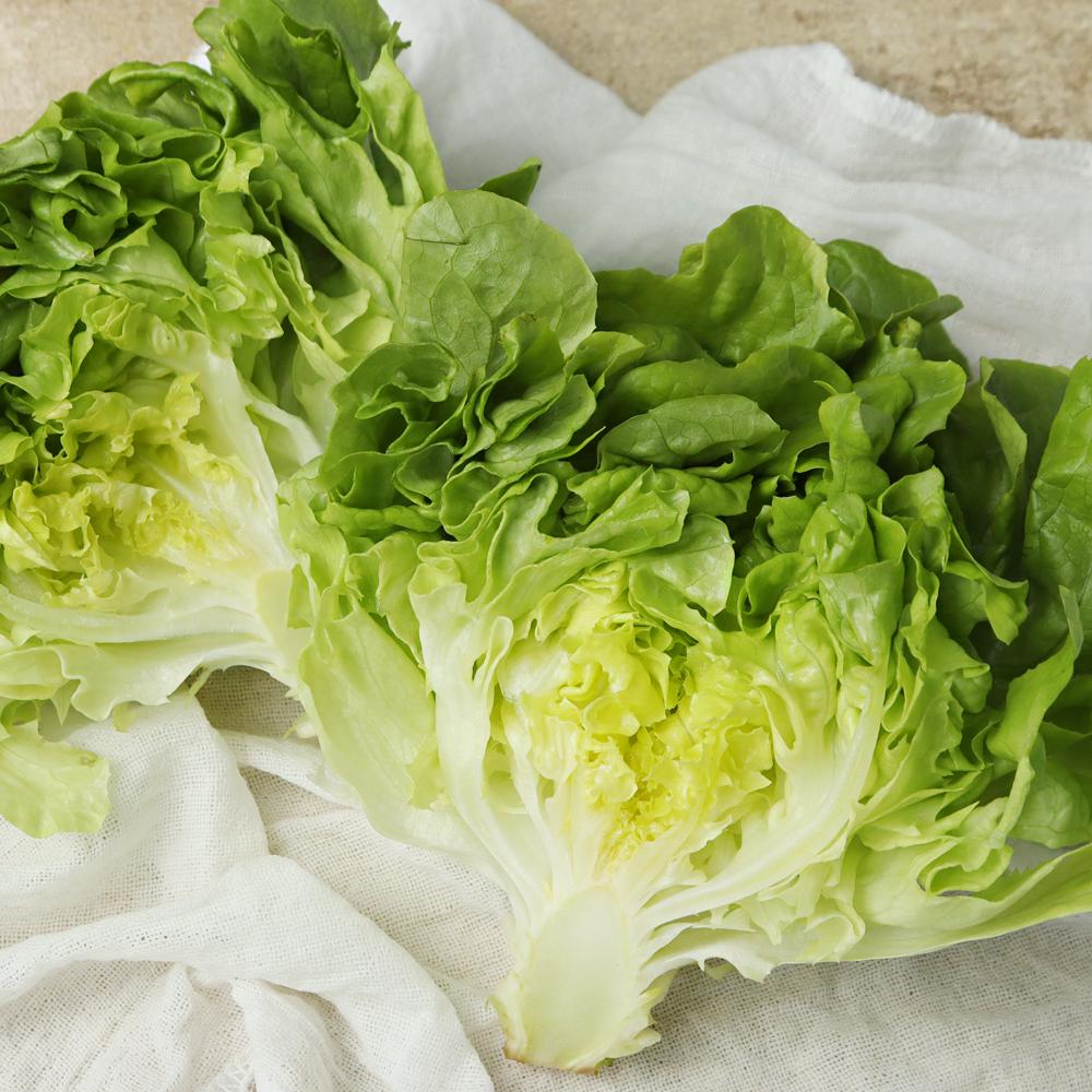 [풀래음] GAP 유럽 샐러드용 쌈채소 2kg(5-6종 랜덤)_2