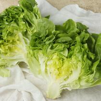 [풀래음] GAP 유럽 샐러드용 쌈채소 2kg(5-6종 랜덤)_2