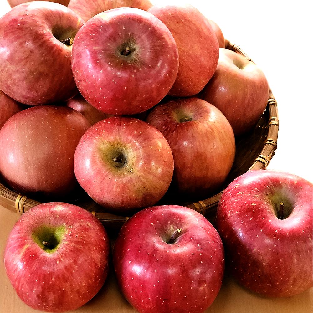 [은혜사과농장] 아삭아삭한 부사사과 5kg