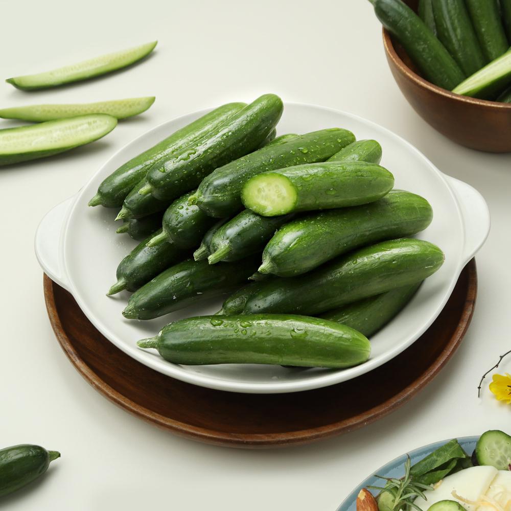 [풀래음] GAP 인증 백다다기오이 특 10개(2kg 내외)_2