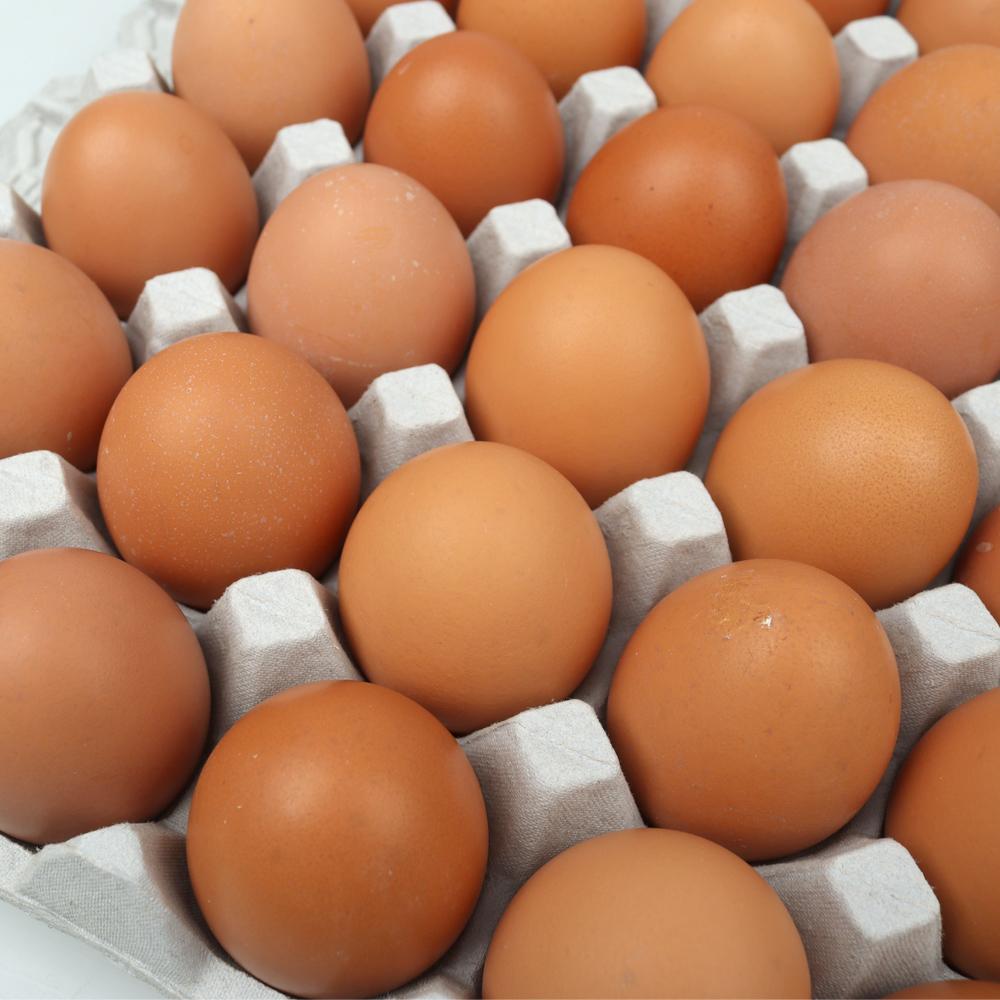 [삼원에그팜] 신선한 계란 대란 3판(90알)_2