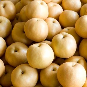 [원희성농가] 음성 배 7.5kg(특 8-10과 내외)