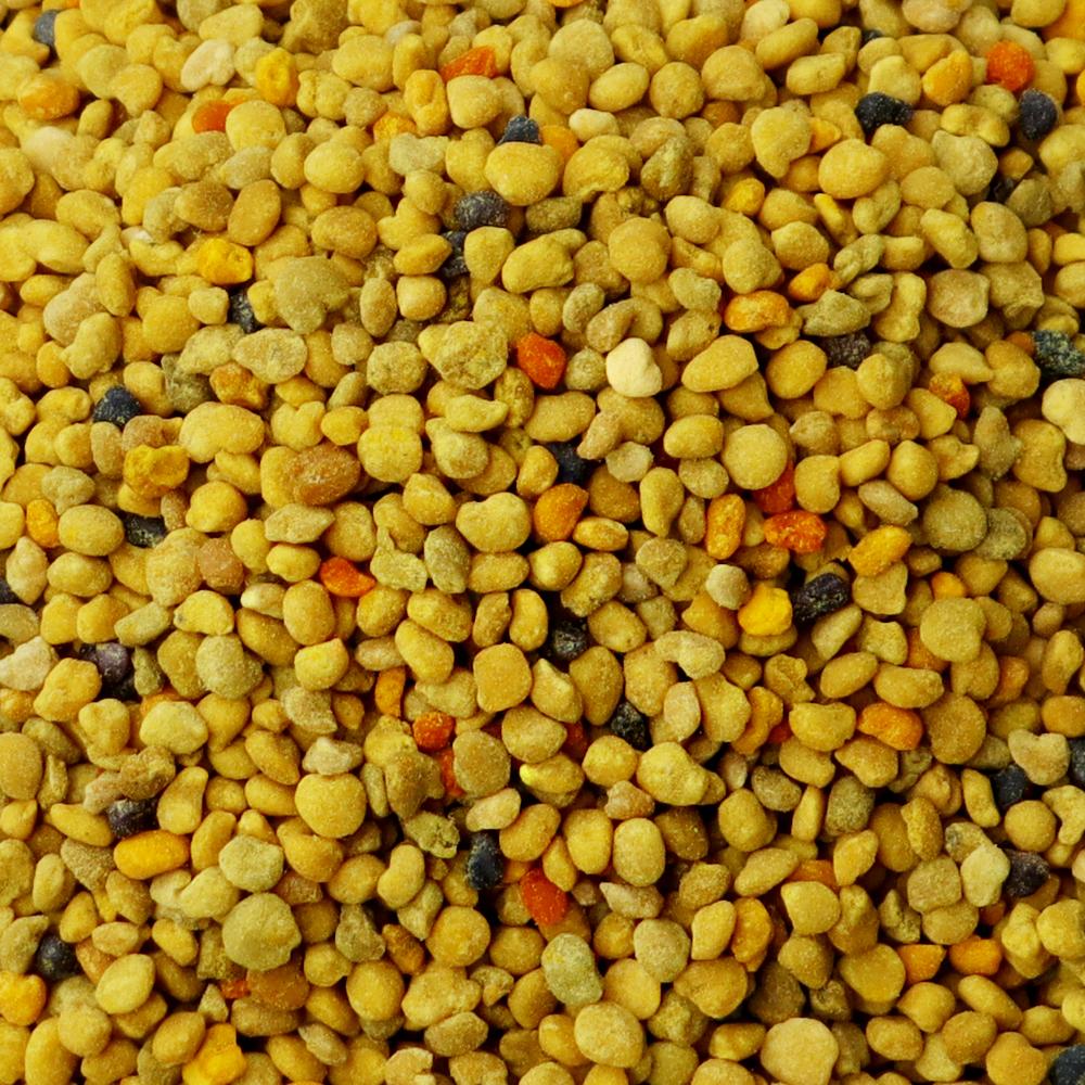 [음성축협] 꿀벌화분 1kg_2