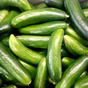 [풀래음] GAP 인증 못난이 스낵오이 2kg(30개내외)